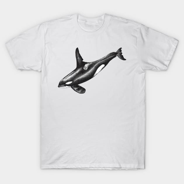 Orca killer whale ink drawing T-Shirt by chloeyzoard